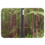 Redwood Trees at Muir Woods National Monument Kindle Keyboard Covers