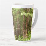 Redwood Trees at Muir Woods National Monument Latte Mug