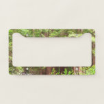 Redwood Trees at Muir Woods National Monument License Plate Frame