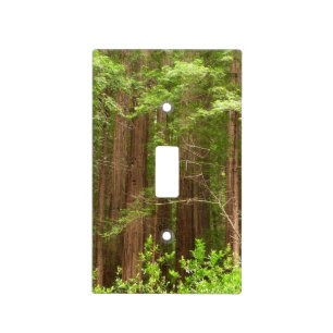 Redwood Trees at Muir Woods National Monument Light Switch Cover