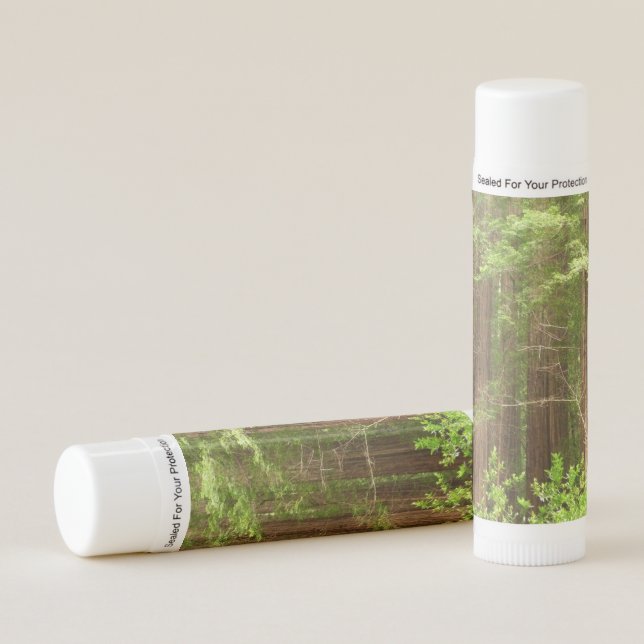 Redwood Trees at Muir Woods National Monument Lip Balm (Front)