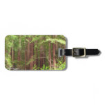 Redwood Trees at Muir Woods National Monument Luggage Tag