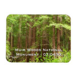 Redwood Trees at Muir Woods National Monument Magnet