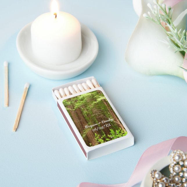 Redwood Trees at Muir Woods National Monument Matchboxes (Insitu)