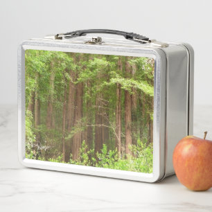 Redwood Trees at Muir Woods National Monument Metal Lunch Box
