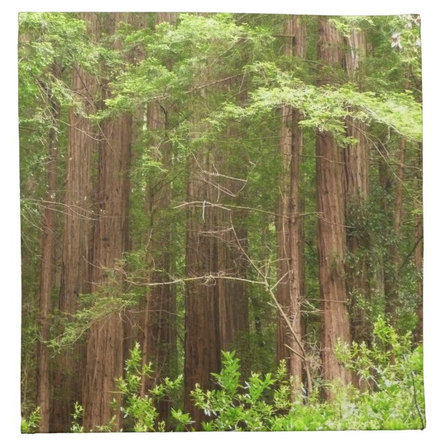 Redwood Trees at Muir Woods National Monument Napkin (Front)