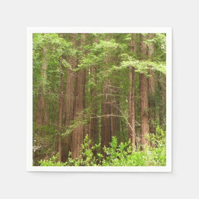 Redwood Trees at Muir Woods National Monument Napkins (Front)