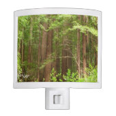 Redwood Trees at Muir Woods National Monument Night Light (Front)