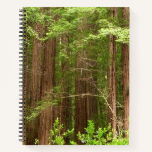 Redwood Trees at Muir Woods National Monument Notebook