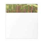 Redwood Trees at Muir Woods National Monument Notepad