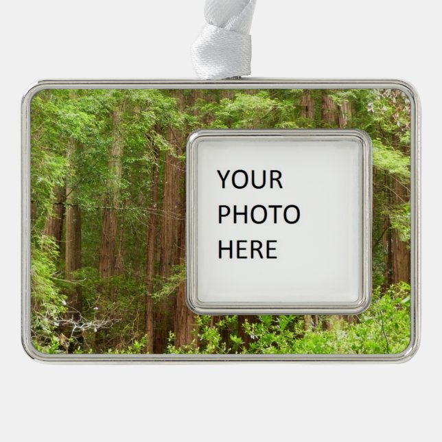 Redwood Trees at Muir Woods National Monument Ornament (Front)