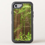 Redwood Trees at Muir Woods National Monument OtterBox Defender iPhone SE/8/7 Case