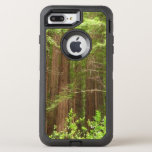 Redwood Trees at Muir Woods National Monument OtterBox Defender iPhone 8 Plus/7 Plus Case