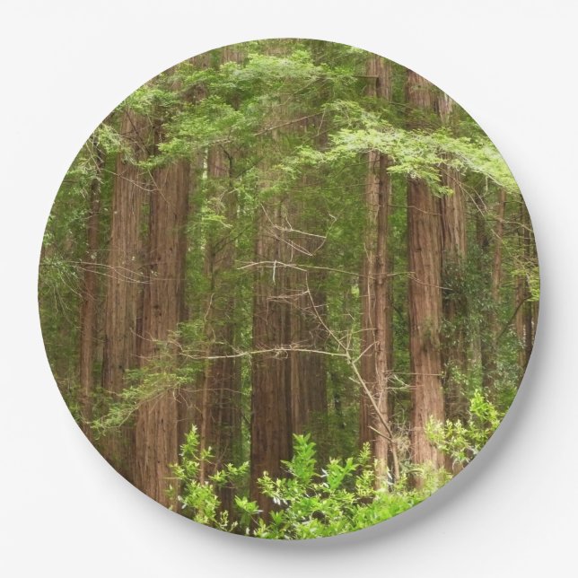 Redwood Trees at Muir Woods National Monument Paper Plates (Front)