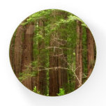 Redwood Trees at Muir Woods National Monument Paperweight