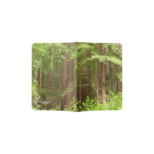 Redwood Trees at Muir Woods National Monument Passport Holder (Opened)