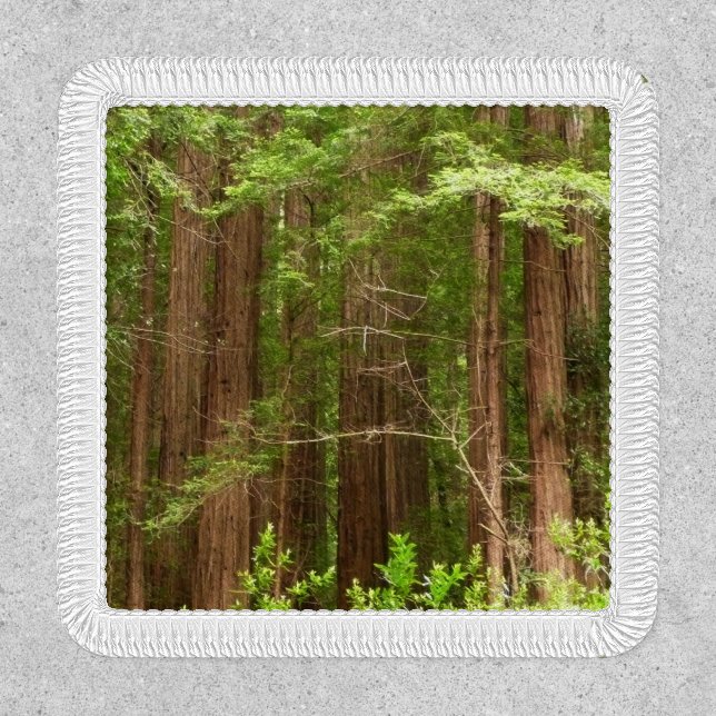 Redwood Trees at Muir Woods National Monument Patch (Front)
