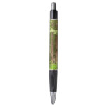 Redwood Trees at Muir Woods National Monument Pen