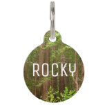 Redwood Trees at Muir Woods National Monument Pet ID Tag