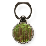 Redwood Trees at Muir Woods National Monument Phone Ring Stand