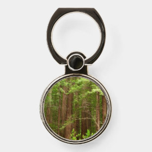 Redwood Trees at Muir Woods National Monument Phone Ring Stand
