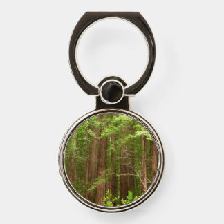 Redwood Trees at Muir Woods National Monument Phone Ring Stand