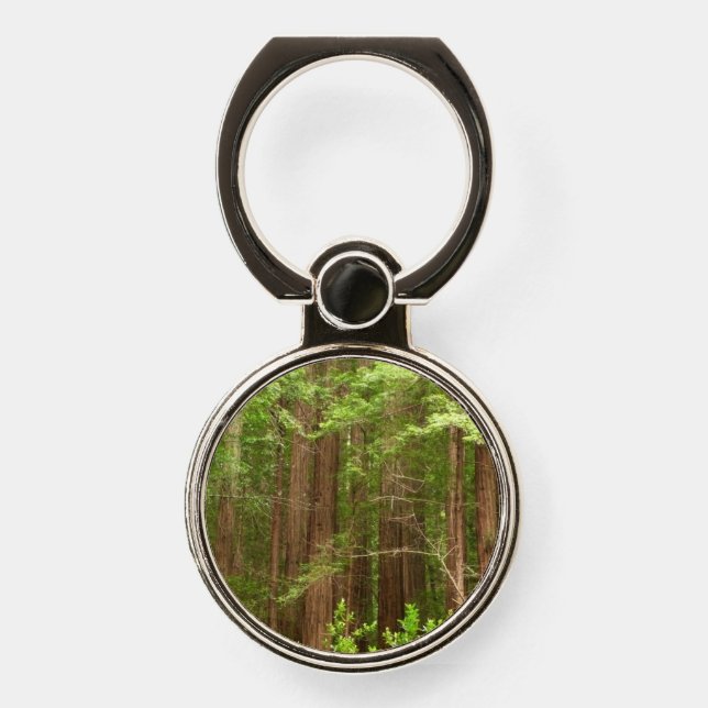 Redwood Trees at Muir Woods National Monument Phone Ring Stand (Front)