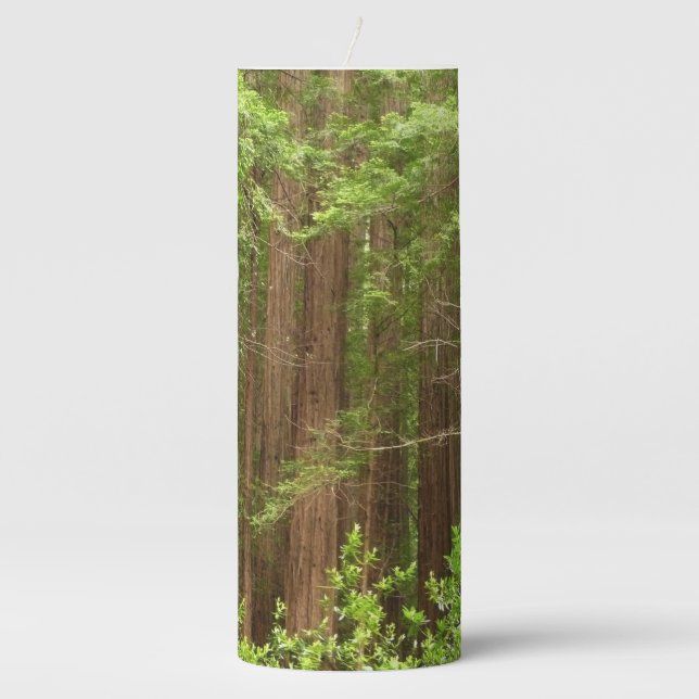 Redwood Trees at Muir Woods National Monument Pillar Candle (Front)