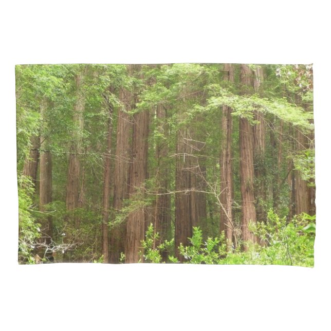 Redwood Trees at Muir Woods National Monument Pillow Case (Front)