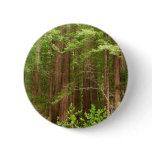 Redwood Trees at Muir Woods National Monument Pinback Button