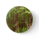 Redwood Trees at Muir Woods National Monument Pinback Button
