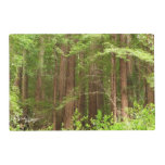 Redwood Trees at Muir Woods National Monument Placemat
