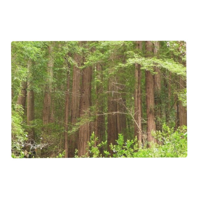 Redwood Trees at Muir Woods National Monument Placemat (Front)
