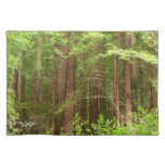 Redwood Trees at Muir Woods National Monument Placemat