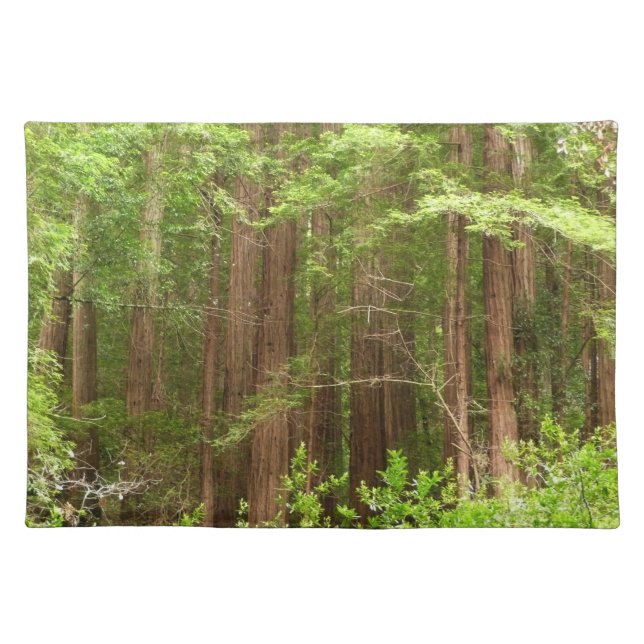 Redwood Trees at Muir Woods National Monument Placemat (Front)