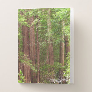 Redwood Trees at Muir Woods National Monument Pocket Folder