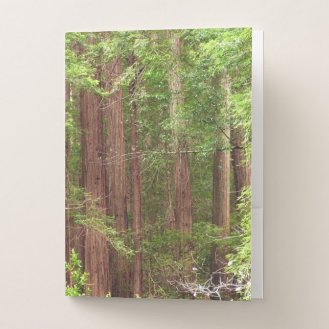 Redwood Trees at Muir Woods National Monument Pocket Folder (Front)