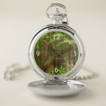 Redwood Trees at Muir Woods National Monument Pocket Watch