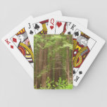 Redwood Trees at Muir Woods National Monument Poker Cards