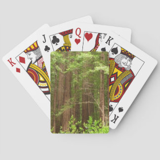 Redwood Trees at Muir Woods National Monument Poker Cards