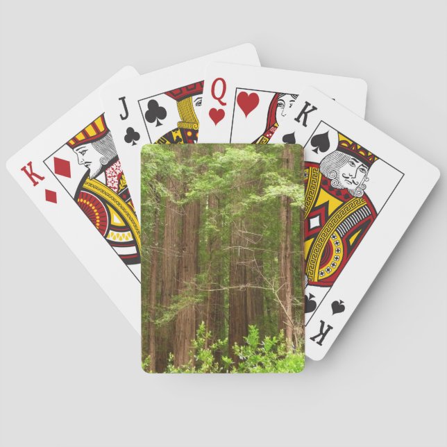 Redwood Trees at Muir Woods National Monument Poker Cards (Back)