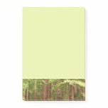 Redwood Trees at Muir Woods National Monument Post-it Notes