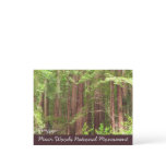 Redwood Trees at Muir Woods National Monument Postcard