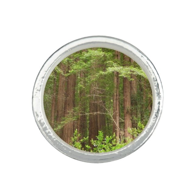 Redwood Trees at Muir Woods National Monument Ring (Front)