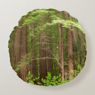 Redwood Trees at Muir Woods National Monument Round Pillow