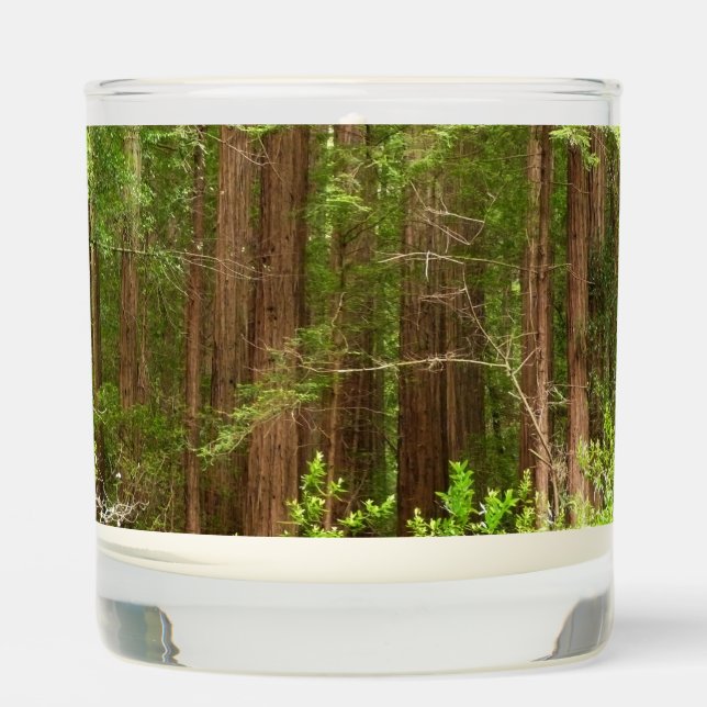 Redwood Trees at Muir Woods National Monument Scented Candle (Front)
