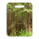 Redwood Trees at Muir Woods National Monument Seat Cushion