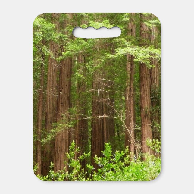 Redwood Trees at Muir Woods National Monument Seat Cushion (Front Vertical)