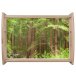 Redwood Trees at Muir Woods National Monument Serving Tray