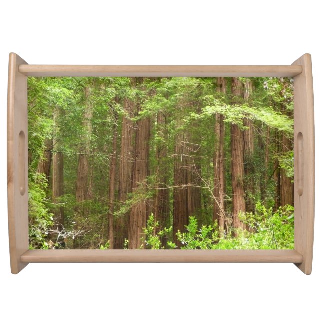 Redwood Trees at Muir Woods National Monument Serving Tray (Front)